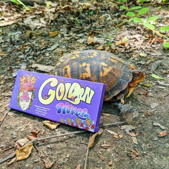 golden ticket mushroom bar bars buy online shrooms