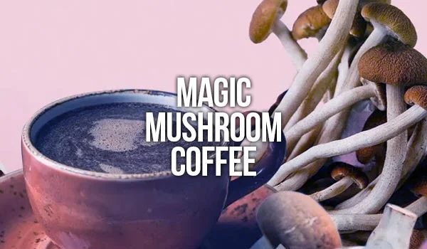 Magic Mushroom Coffee